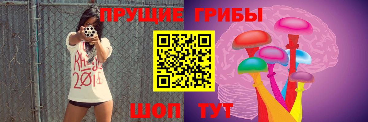 Мончегорск  Псилоцибиновые грибы мицелий  Вход с VPN 
